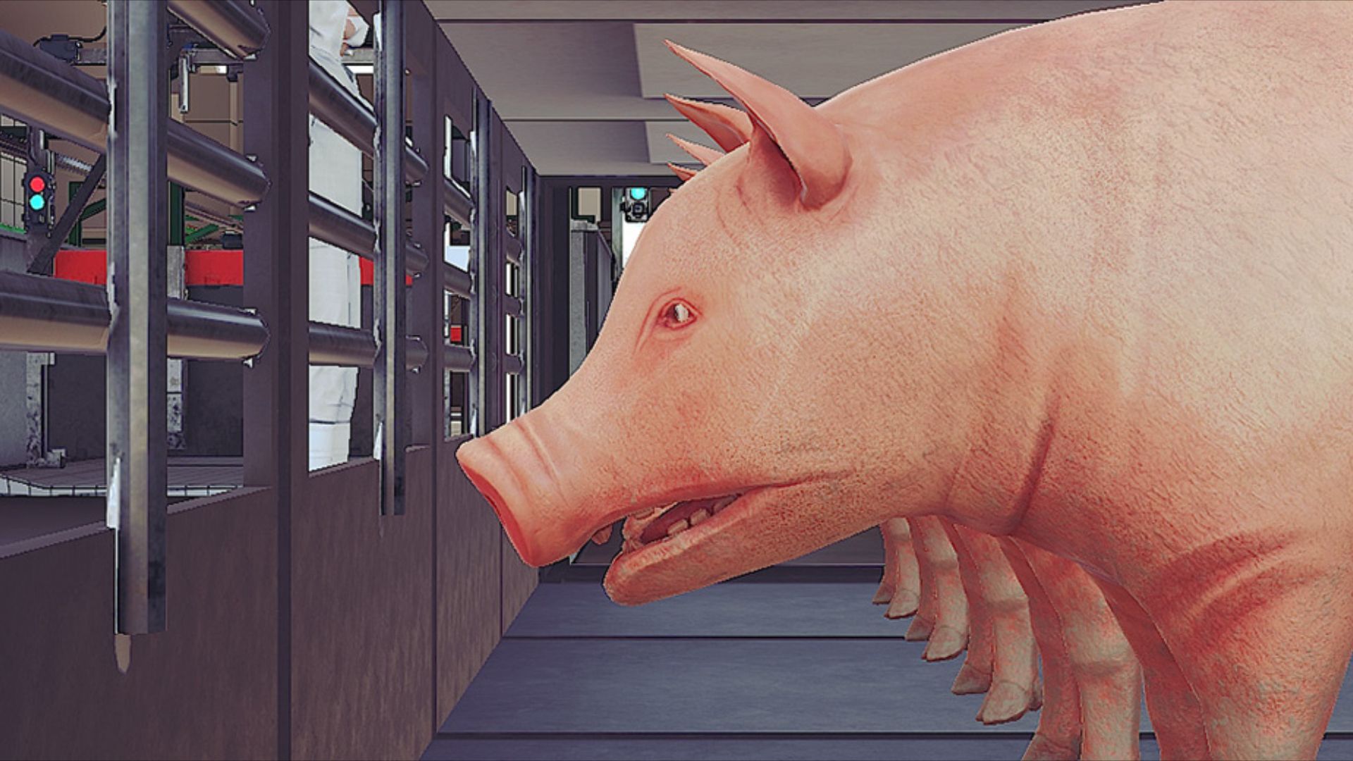 Web Portfolio Pig Sim 00003